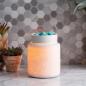 Mobile Preview: Candle Warmers Elektrische Duftlampe - Botanical