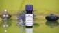 Mobile Preview: Ätherisches Duftöl Lavendel BIO