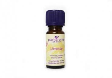 Ätherisches Duftöl Limette