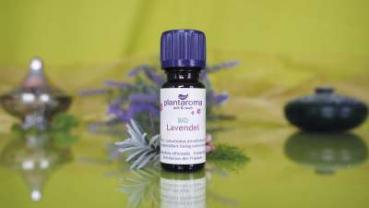 Ätherisches Duftöl Lavendel BIO