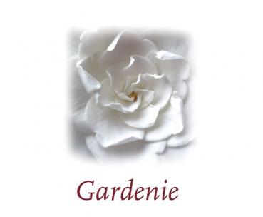 Scented Cubes Duftwachs Gardenie