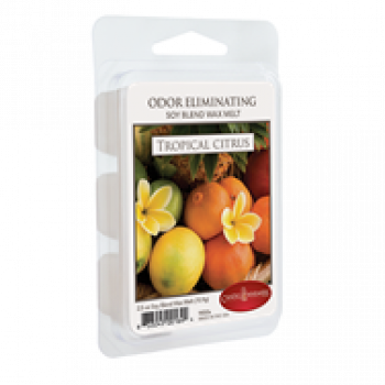 Candle Warmers Duftwachs Odor Geruchsbeseitiger - TROPICAL CITRUS