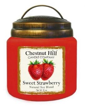 CHESTNUT HILL 2 Docht Duftkerze SWEET STRAWBERRY 450g