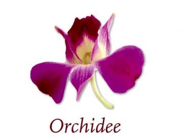 Scented Cubes Duftwachs Orchidee