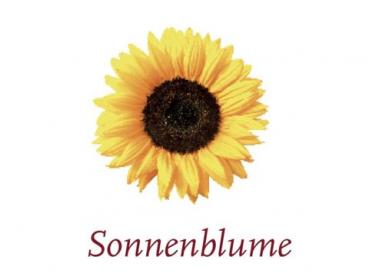 Scented Cubes Duftwachs Sonnenblume