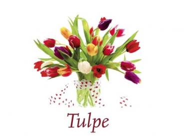 Scented Cubes Duftwachs Tulpe