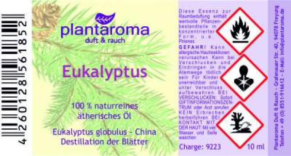 Ätherisches Duftöl Eukalyptus