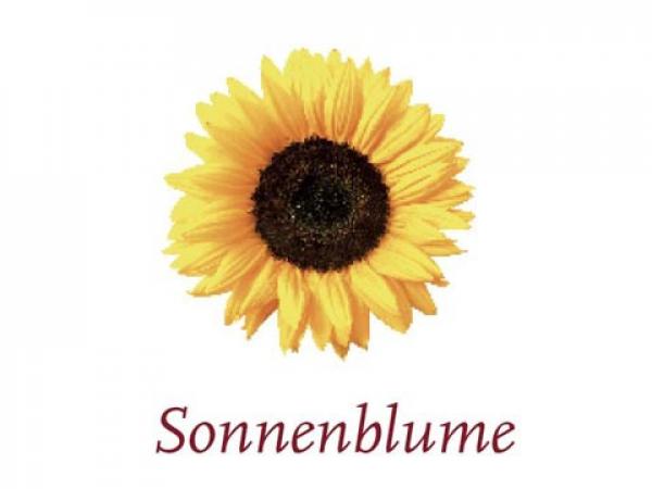 Scented Cubes Duftwachs Sonnenblume