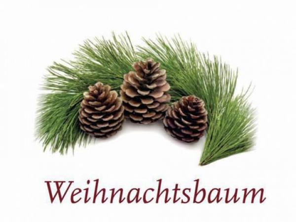 Scented Cubes Duftwachs Weihnachtsbaum
