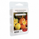 Candle Warmers Duftwachs Odor Geruchsbeseitiger - TROPICAL CITRUS