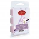 Candle Warmer Classic Duftwachs t - Love Spell
