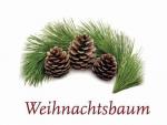 Scented Cubes Duftwachs Weihnachtsbaum