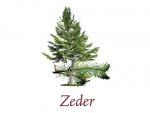 Scented Cubes Duftwachs Zeder